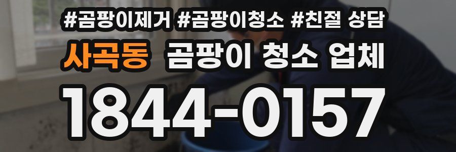 사곡동 곰팡이 청소 업체