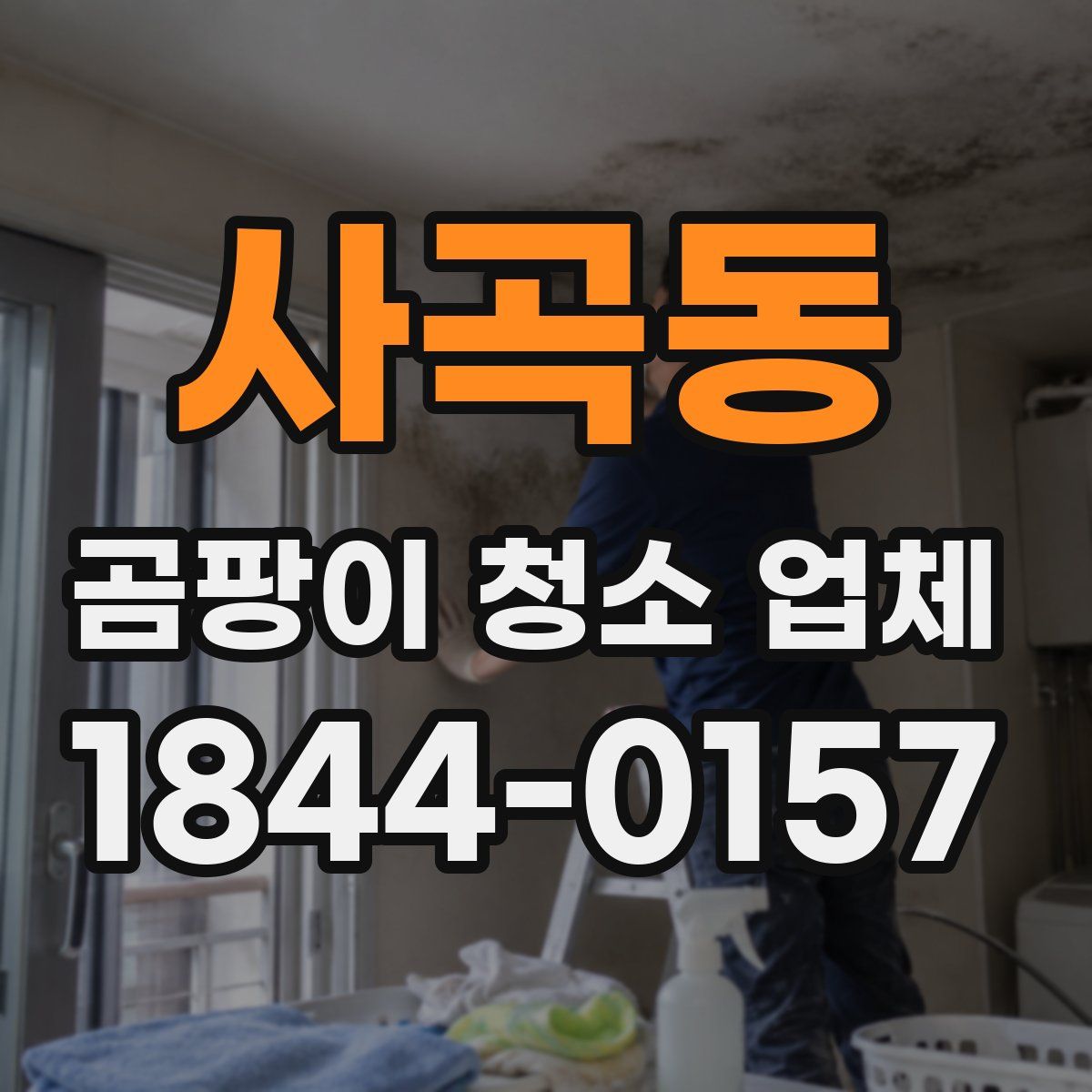 사곡동 곰팡이 청소 업체