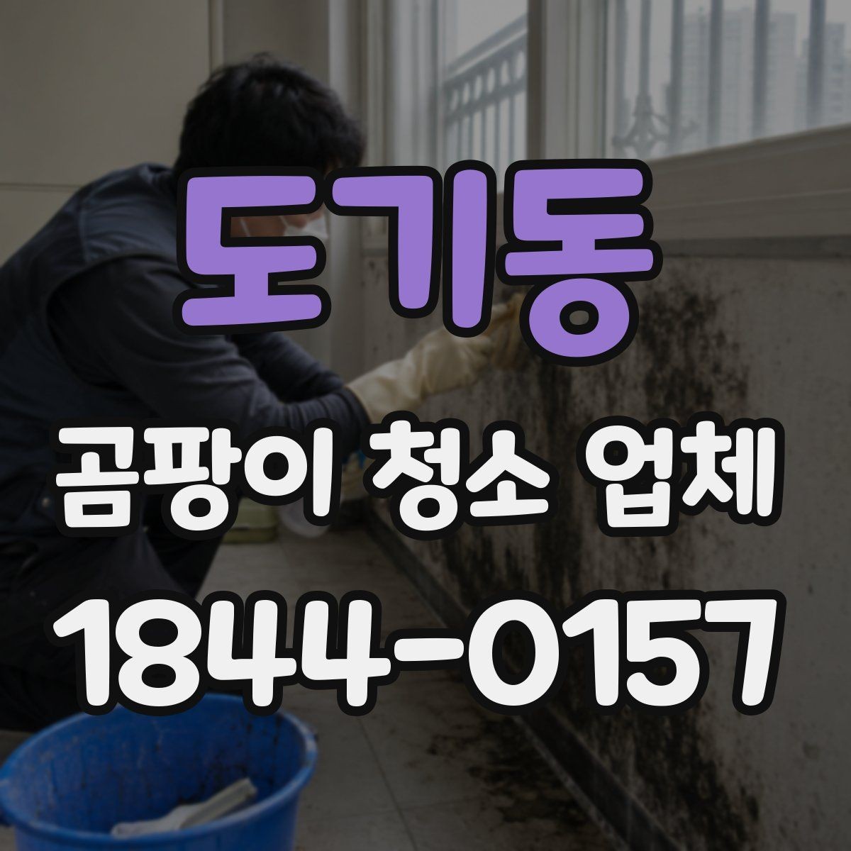 도기동 곰팡이 청소 업체 이용 시 계약 전 확인사항