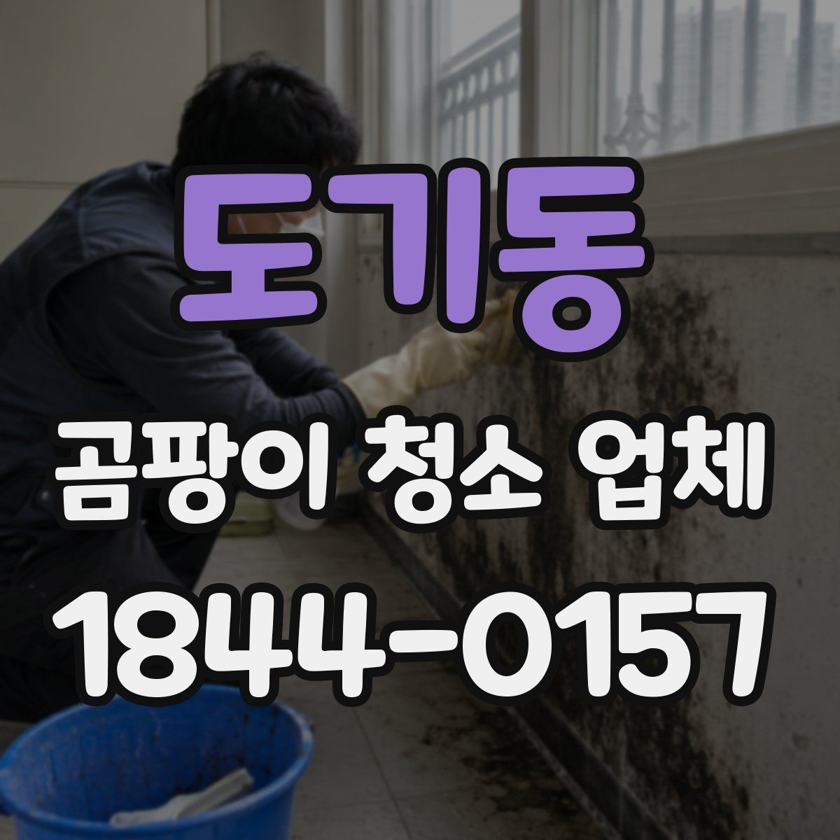 도기동 곰팡이 청소 업체