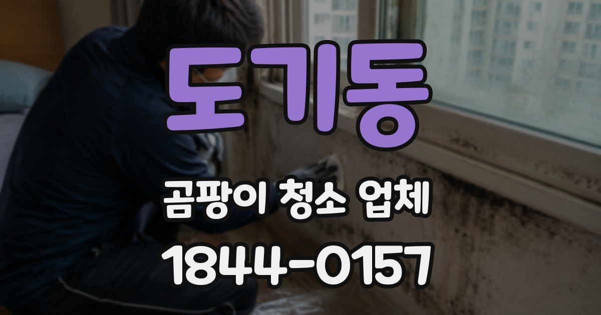 도기동 곰팡이 청소 업체