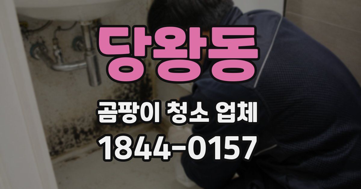 당왕동 곰팡이 청소 업체