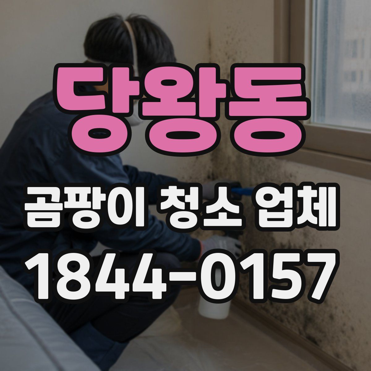 당왕동 곰팡이 청소 업체