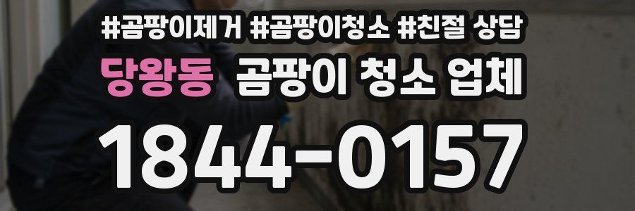당왕동 곰팡이 청소 업체