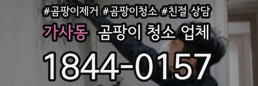 가사동 곰팡이 청소 업체