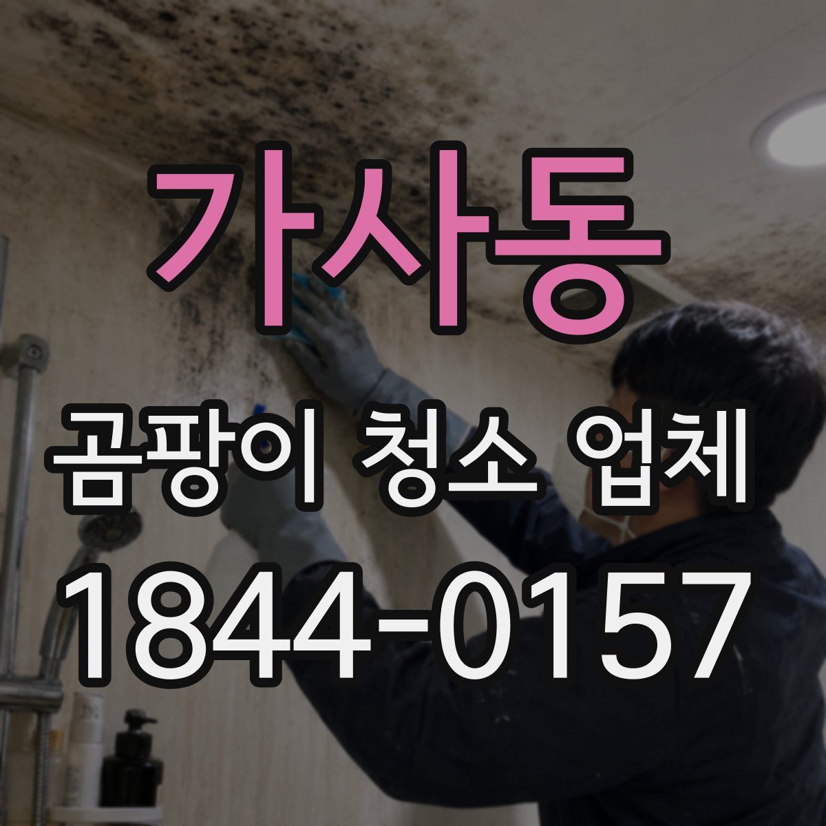 가사동 곰팡이 청소 업체