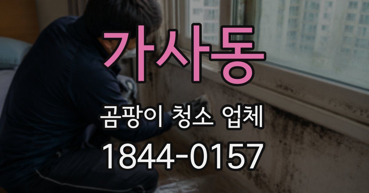 가사동 곰팡이 청소 업체