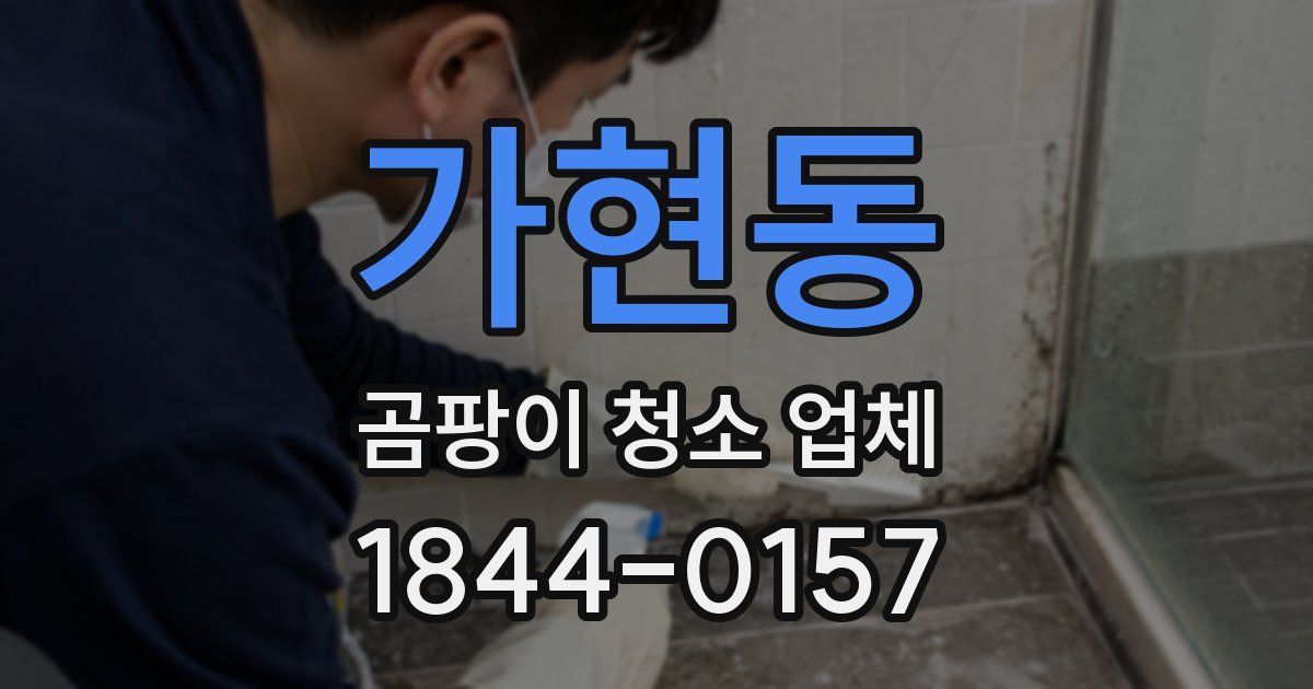 가현동 곰팡이 청소 업체