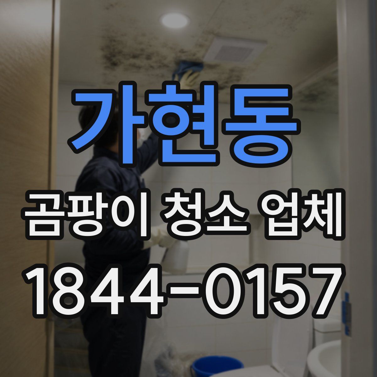 가현동 곰팡이 청소 업체