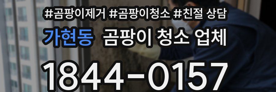가현동 곰팡이 청소 업체