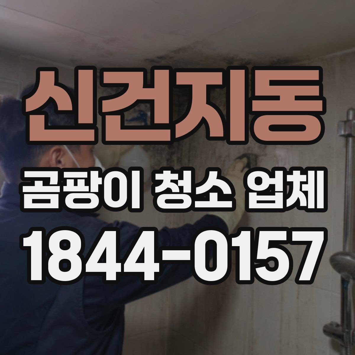 신건지동 곰팡이 청소 업체 서비스 후 점검해야 할 부분