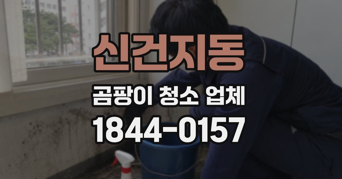 신건지동 곰팡이 청소 업체