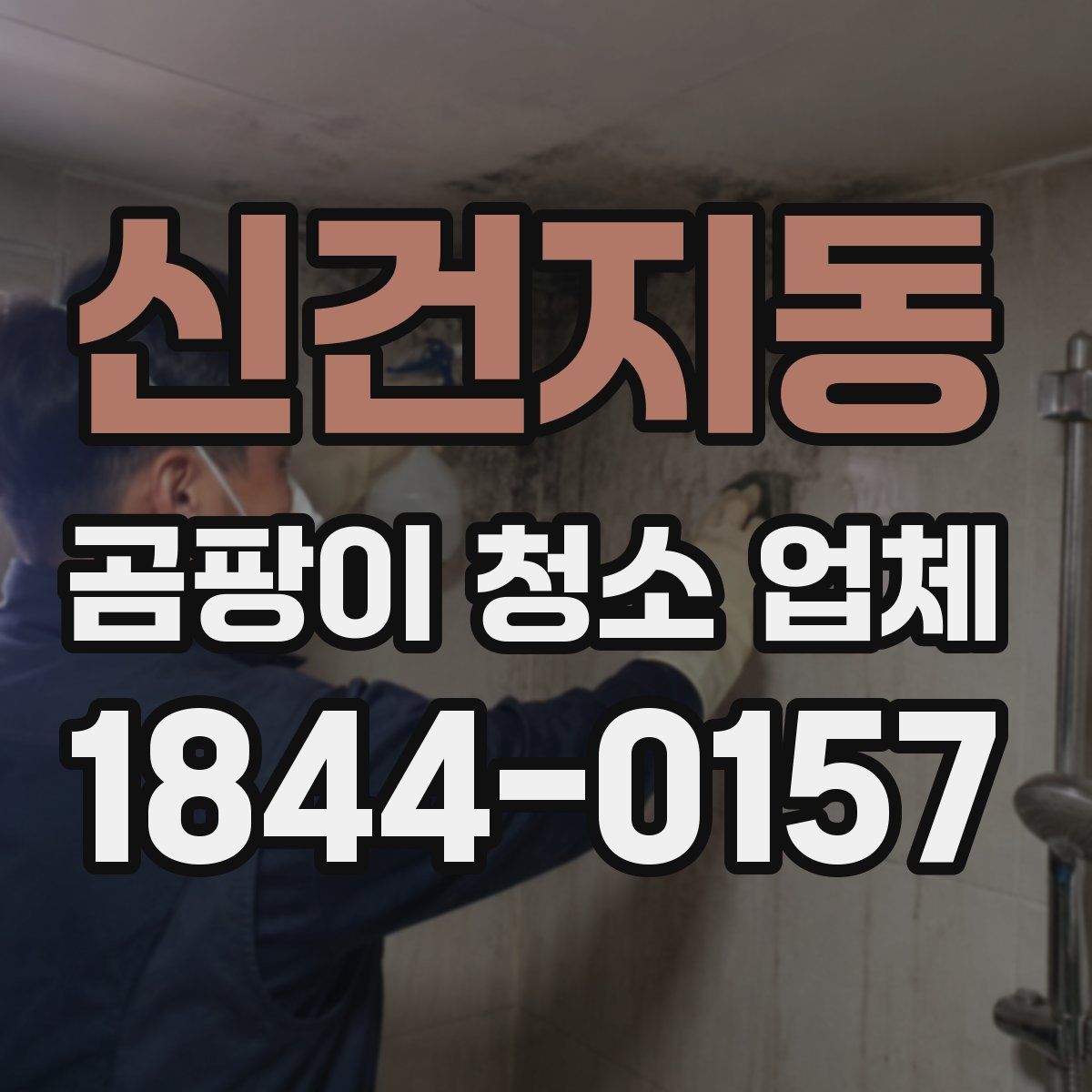 신건지동 곰팡이 청소 업체