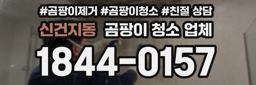신건지동 곰팡이 청소 업체
