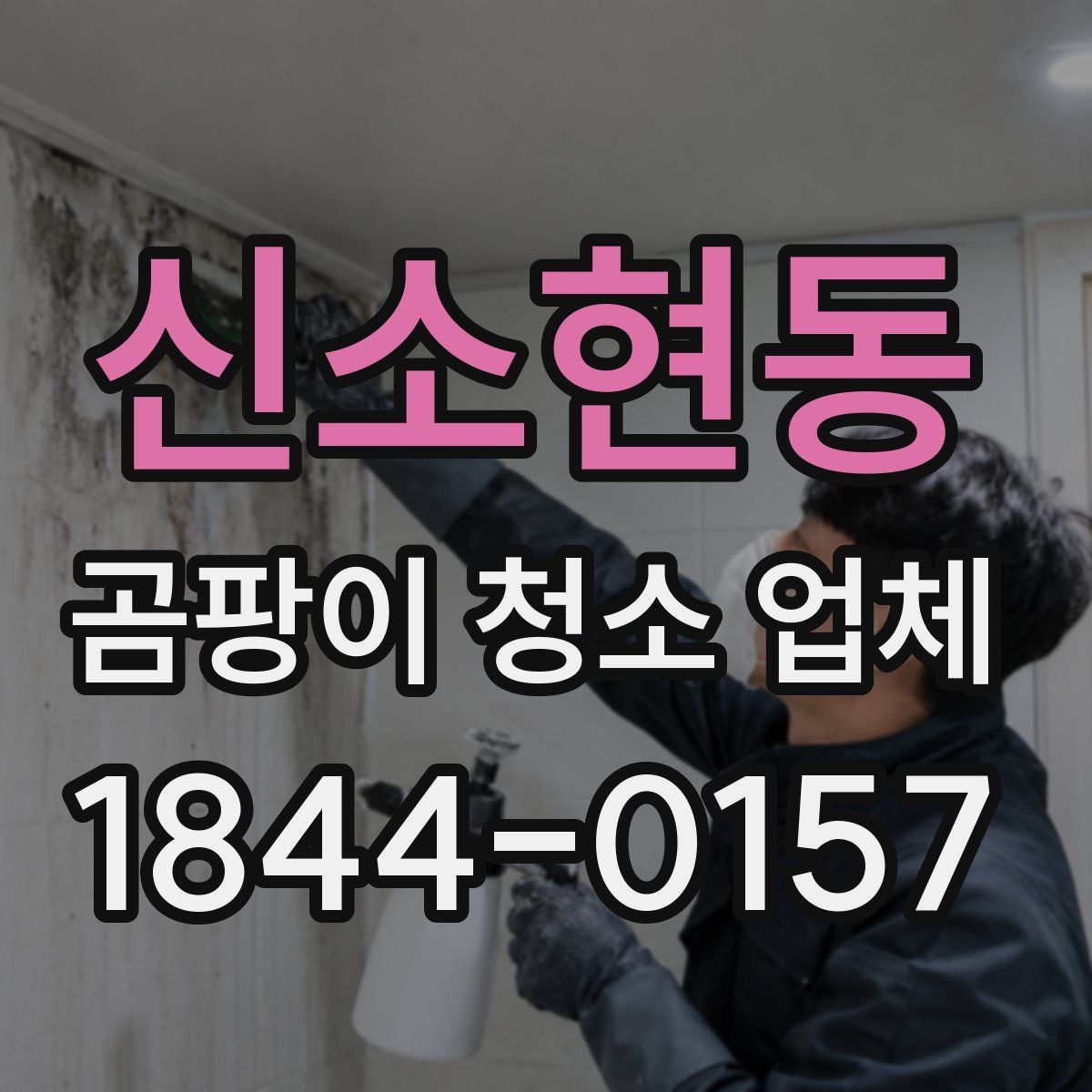 신소현동 곰팡이 청소 업체