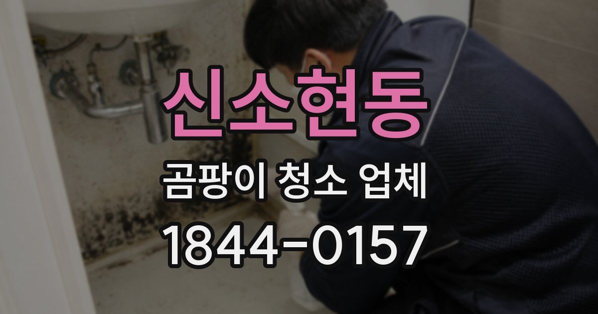 신소현동 곰팡이 청소 업체