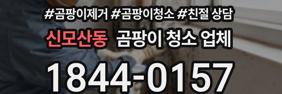 신모산동 곰팡이 청소 업체