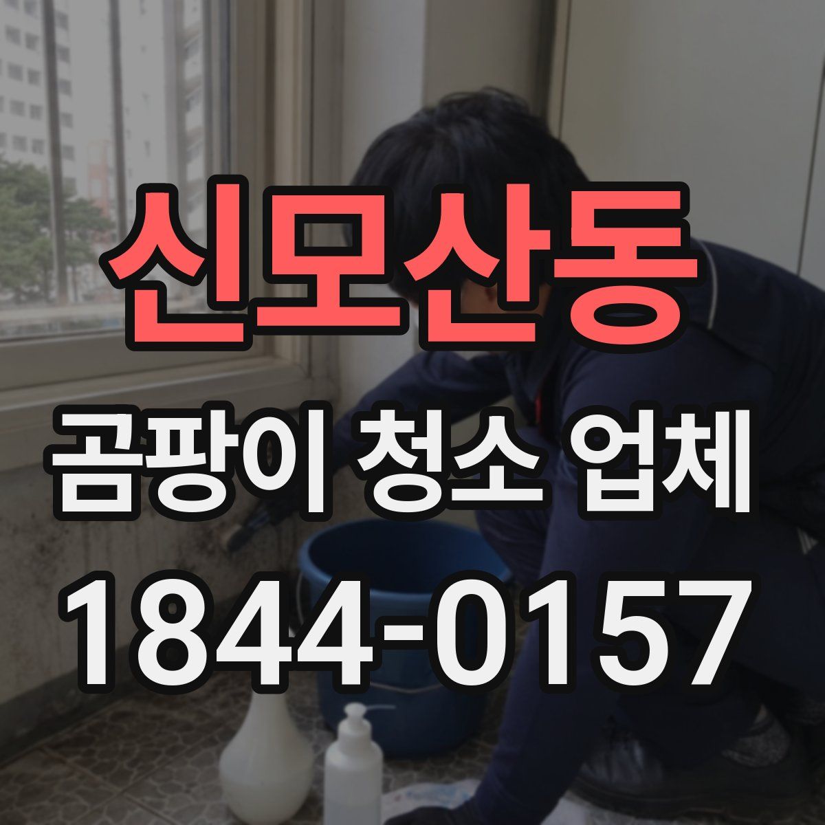 신모산동 곰팡이 청소 업체