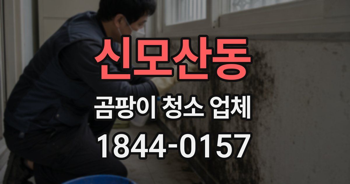 신모산동 곰팡이 청소 업체