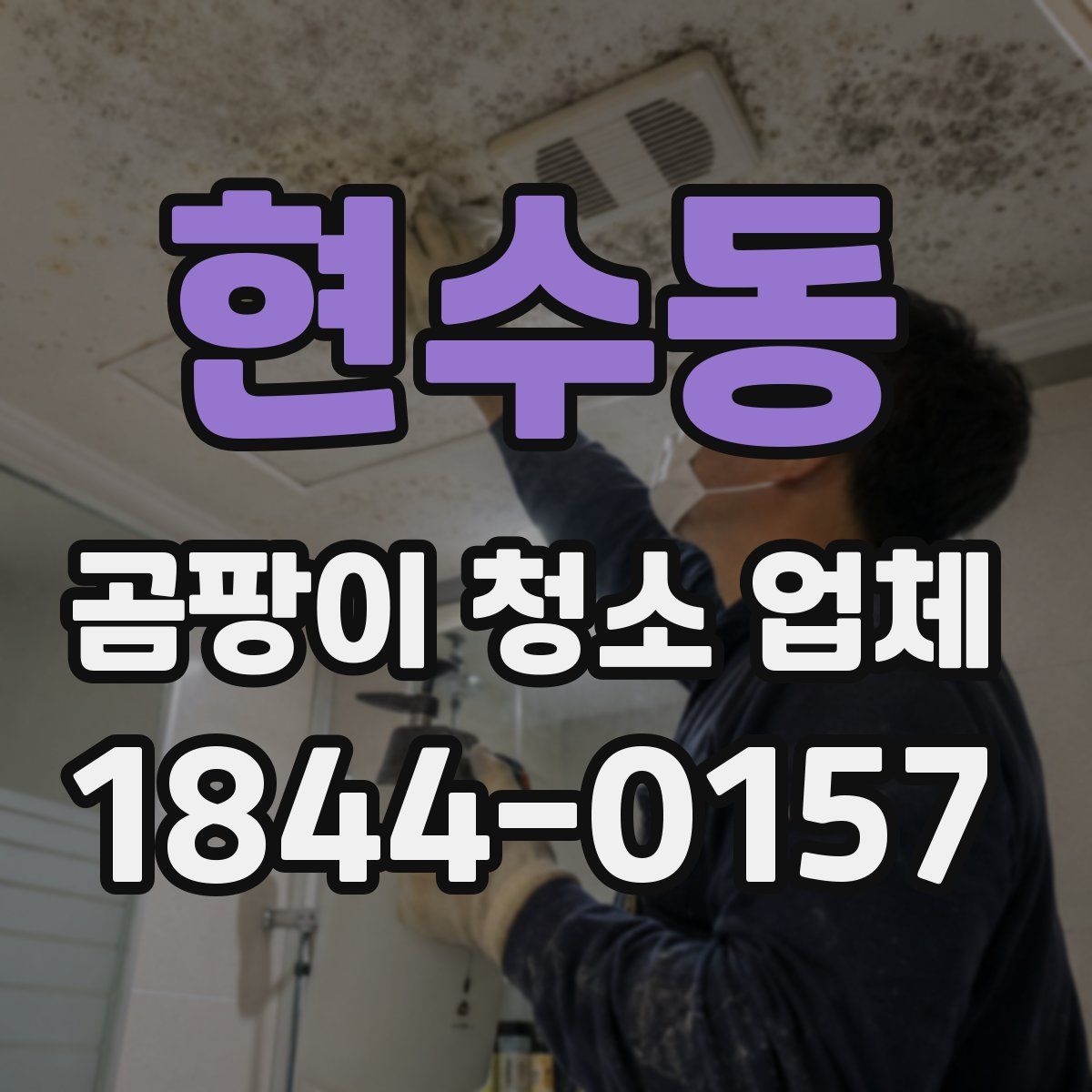 현수동 곰팡이 청소 업체