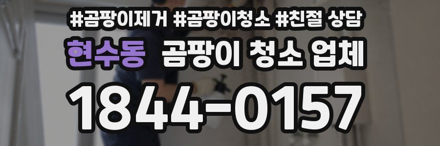 현수동 곰팡이 청소 업체