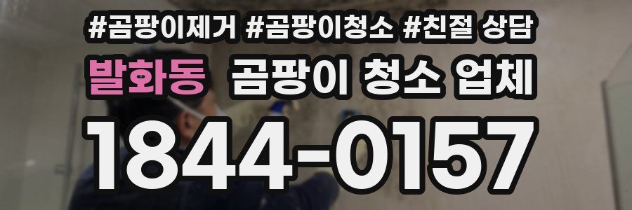 발화동 곰팡이 청소 업체