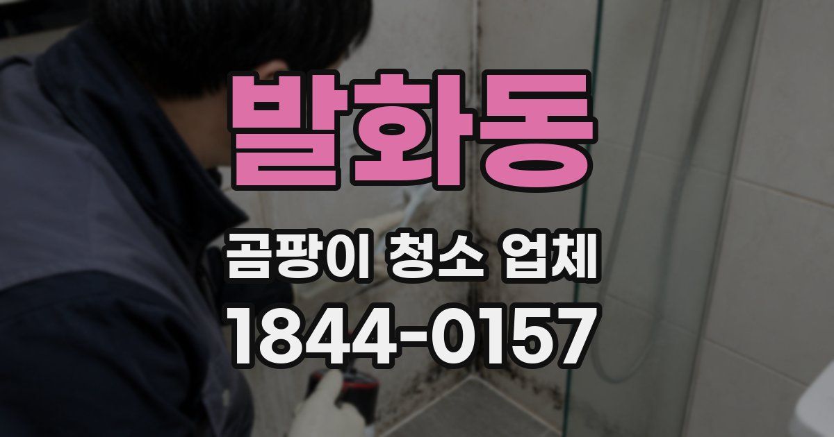 발화동 곰팡이 청소 업체