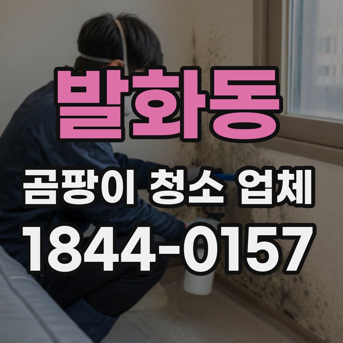발화동 곰팡이 청소 업체