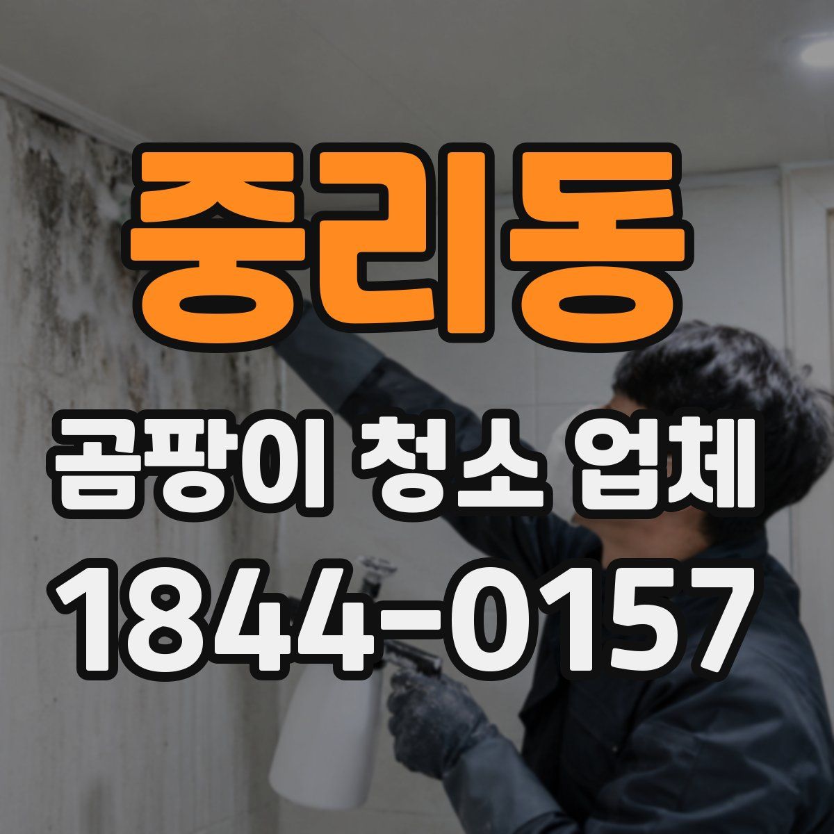중리동 곰팡이 청소 업체