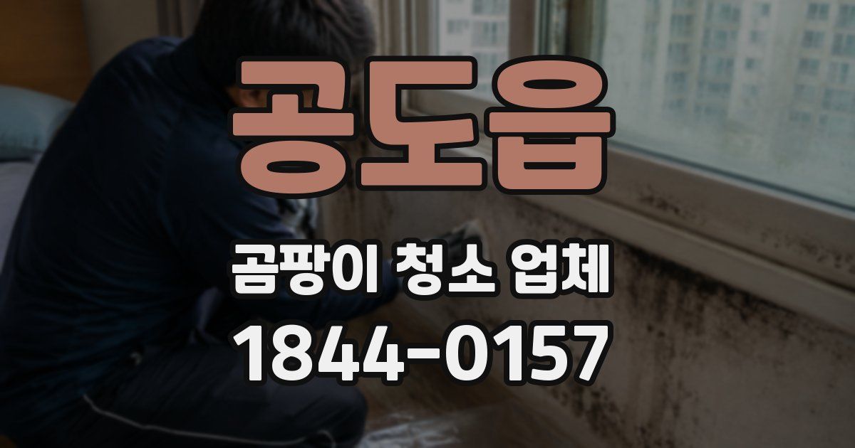 공도읍 곰팡이 청소 업체