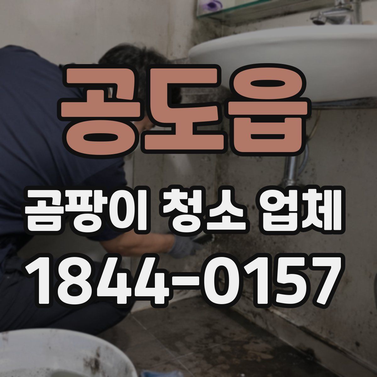 공도읍 곰팡이 청소 업체