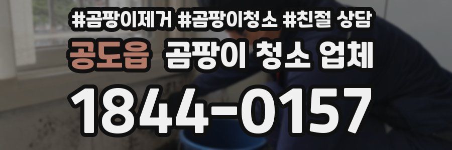 공도읍 곰팡이 청소 업체