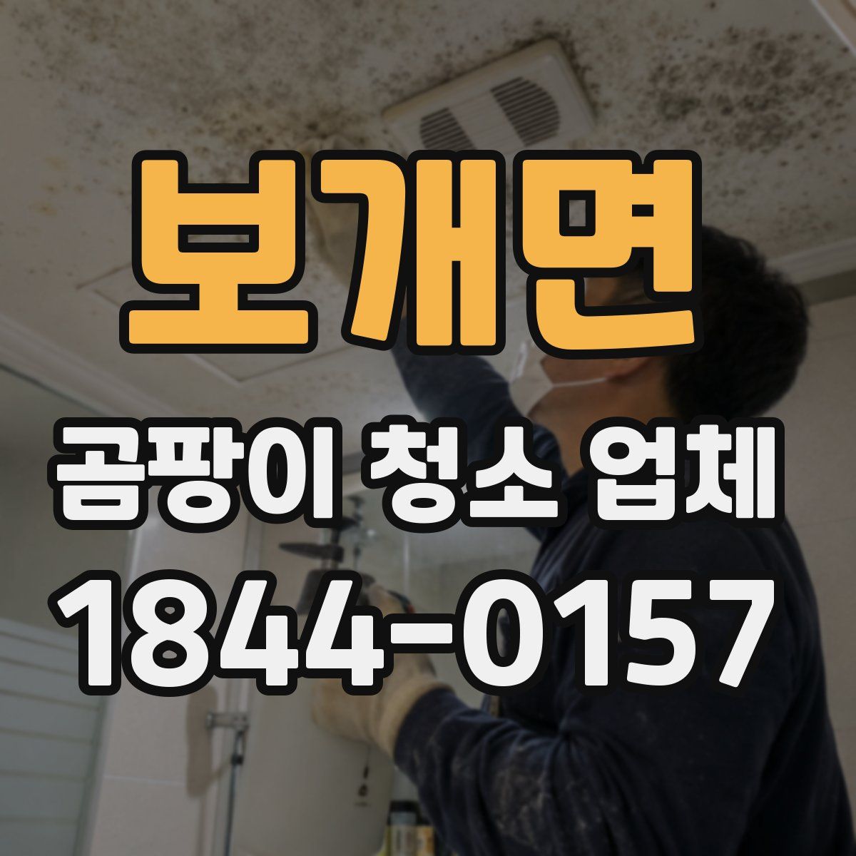 보개면 곰팡이 청소 업체