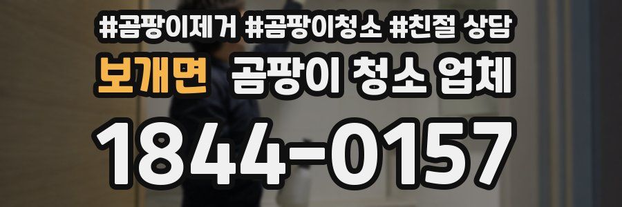 보개면 곰팡이 청소 업체
