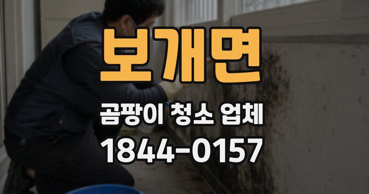 보개면 곰팡이 청소 업체