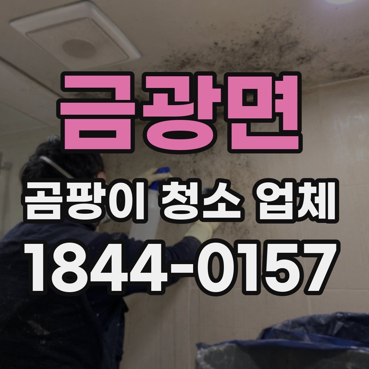 금광면 곰팡이 청소 업체 작업 범위 예시와 제한 사항