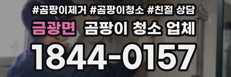 금광면 곰팡이 청소 업체
