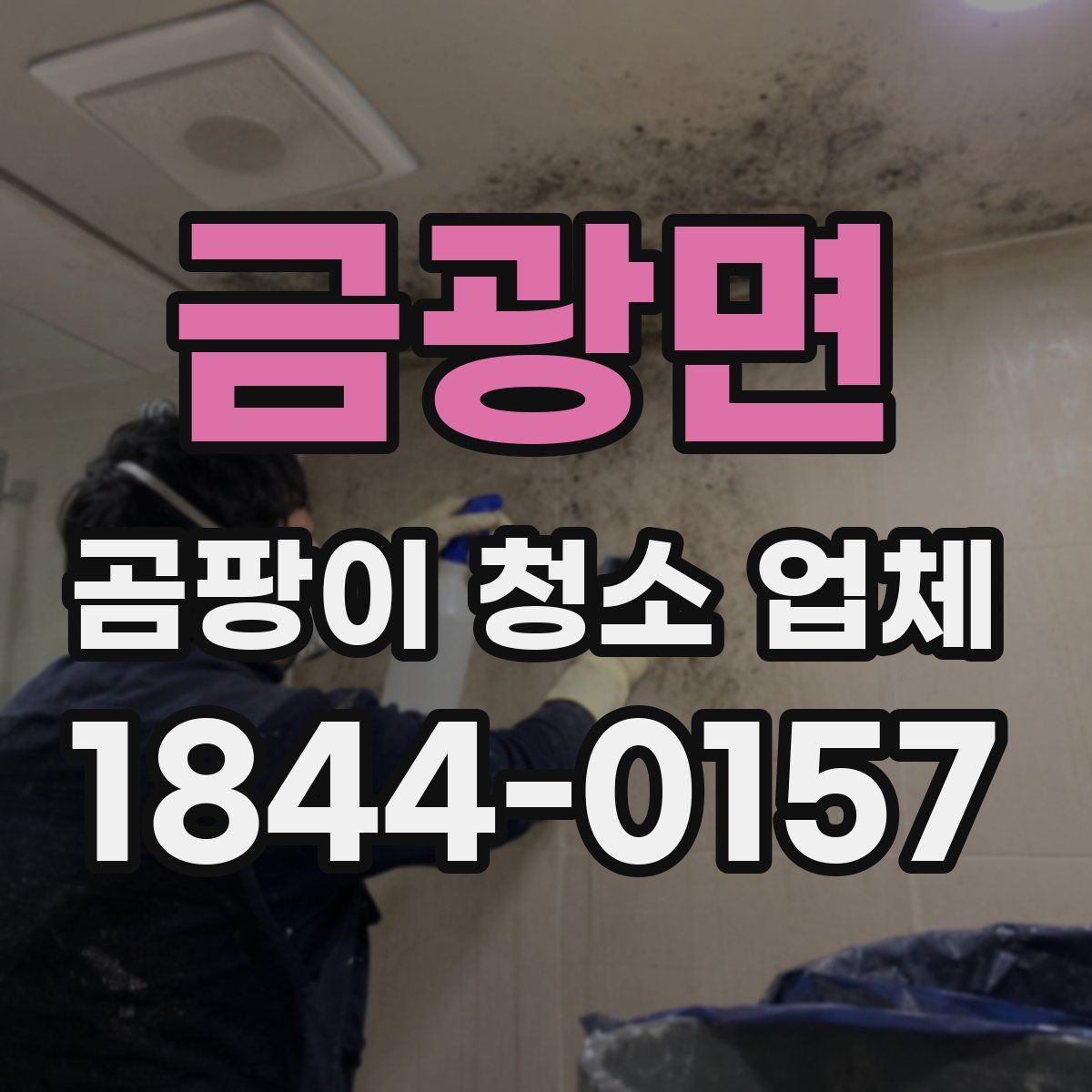 금광면 곰팡이 청소 업체