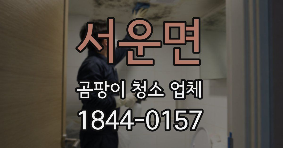 서운면 곰팡이 청소 업체