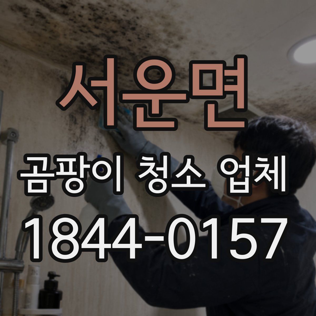 서운면 곰팡이 청소 업체