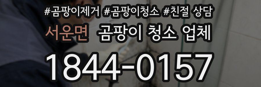 서운면 곰팡이 청소 업체
