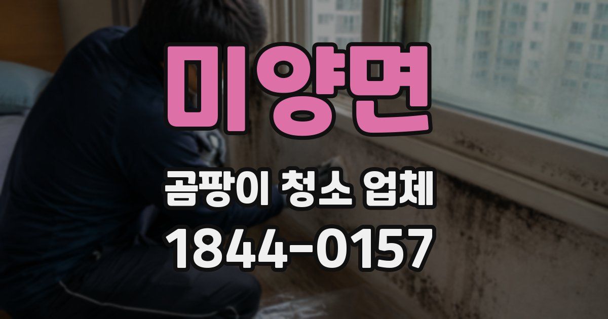 미양면 곰팡이 청소 업체