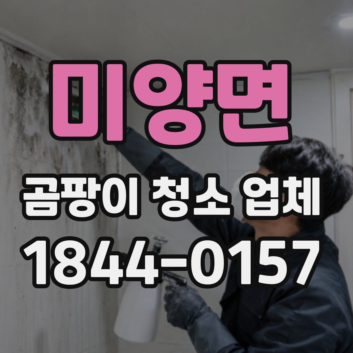 미양면 곰팡이 청소 업체