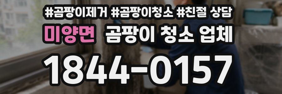 미양면 곰팡이 청소 업체