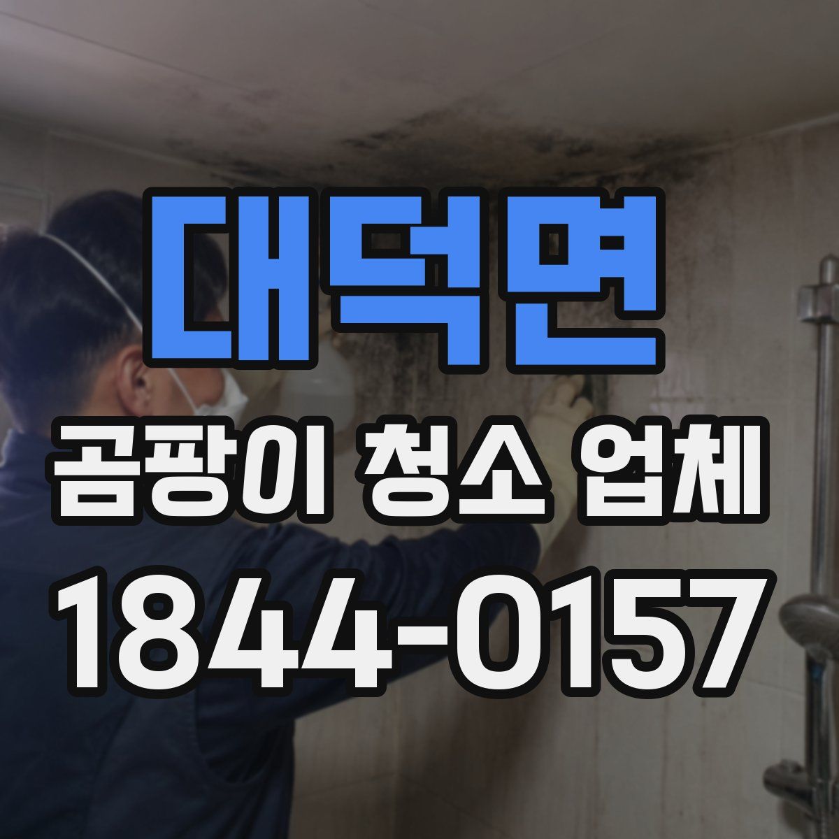 대덕면 곰팡이 청소 업체
