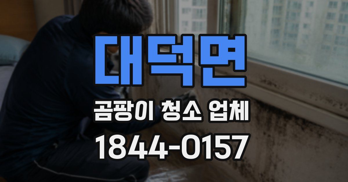 대덕면 곰팡이 청소 업체