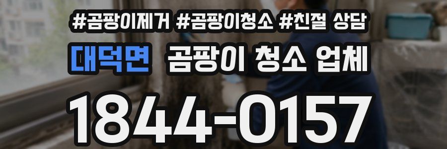 대덕면 곰팡이 청소 업체