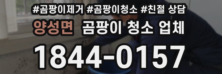 양성면 곰팡이 청소 업체