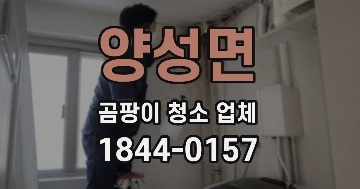 양성면 곰팡이 청소 업체