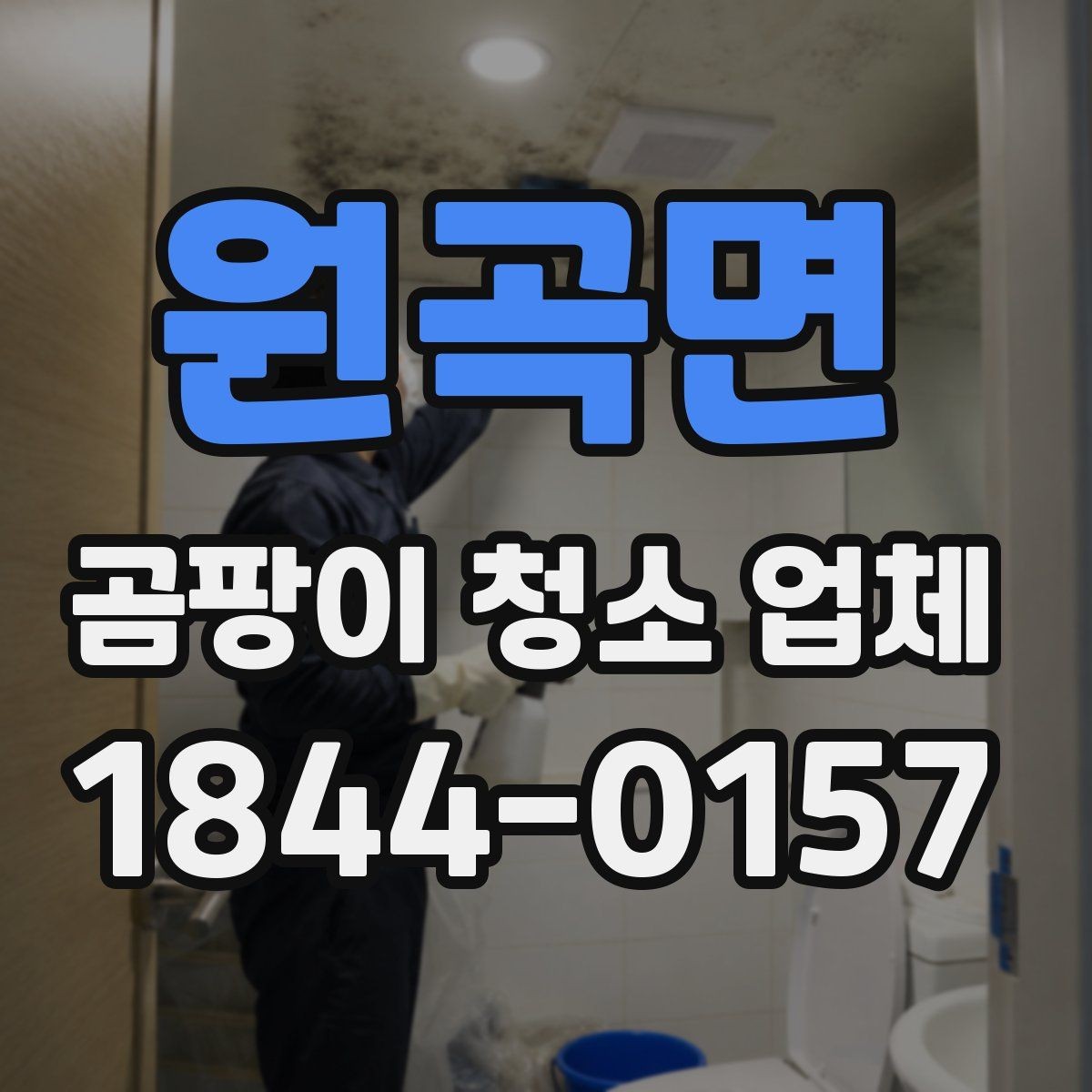 원곡면 곰팡이 청소 업체 견적 비교 시 확인 항목